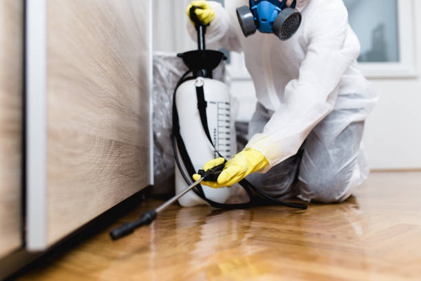 Best Bed Bug Extermination  in Bouse, AZ