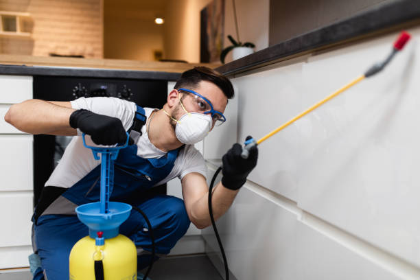 Best Wildlife Control Services  in Bouse, AZ