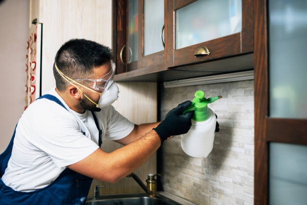 Wildlife Control Services in Bouse, AZ