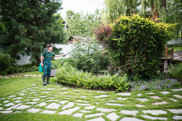 Best Affordable Pest Control Services  in Bouse, AZ