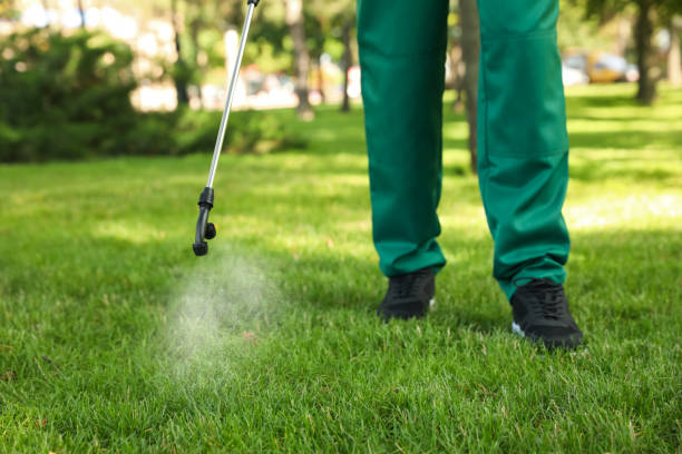 Reliable Bouse, AZ Pest Control Solutions