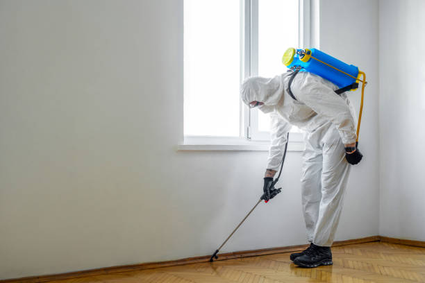 Best Bed Bug Extermination  in Bouse, AZ