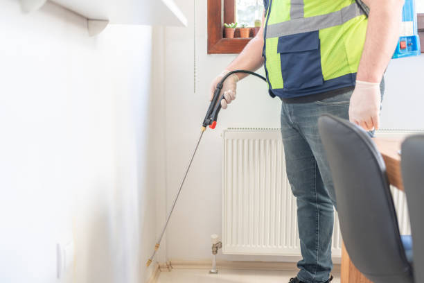 Best Exterminator Services  in Bouse, AZ