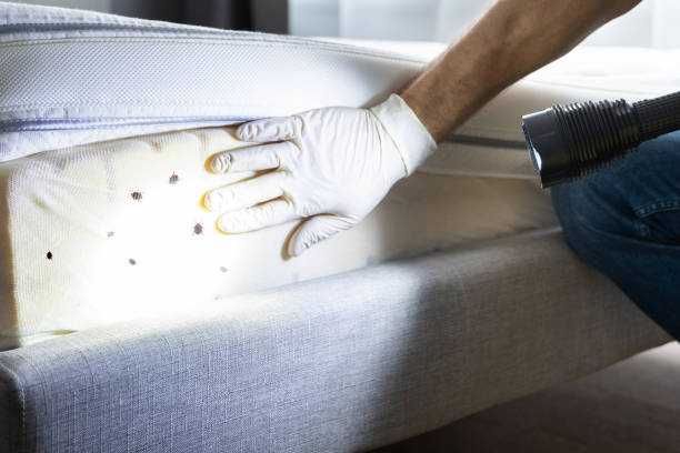 Best Pest Control Cost  in Bouse, AZ