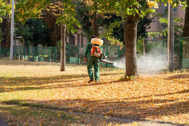 Best Commercial Pest Control Services  in Bouse, AZ