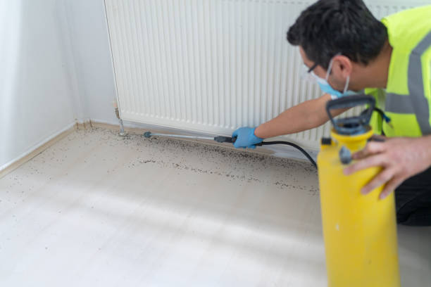 Best Pest Control Cost  in Bouse, AZ