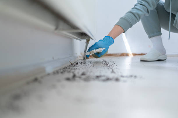 Best Pest Removal Services  in Bouse, AZ
