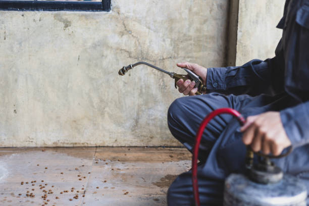 Best Best Pest Control Companies  in Bouse, AZ